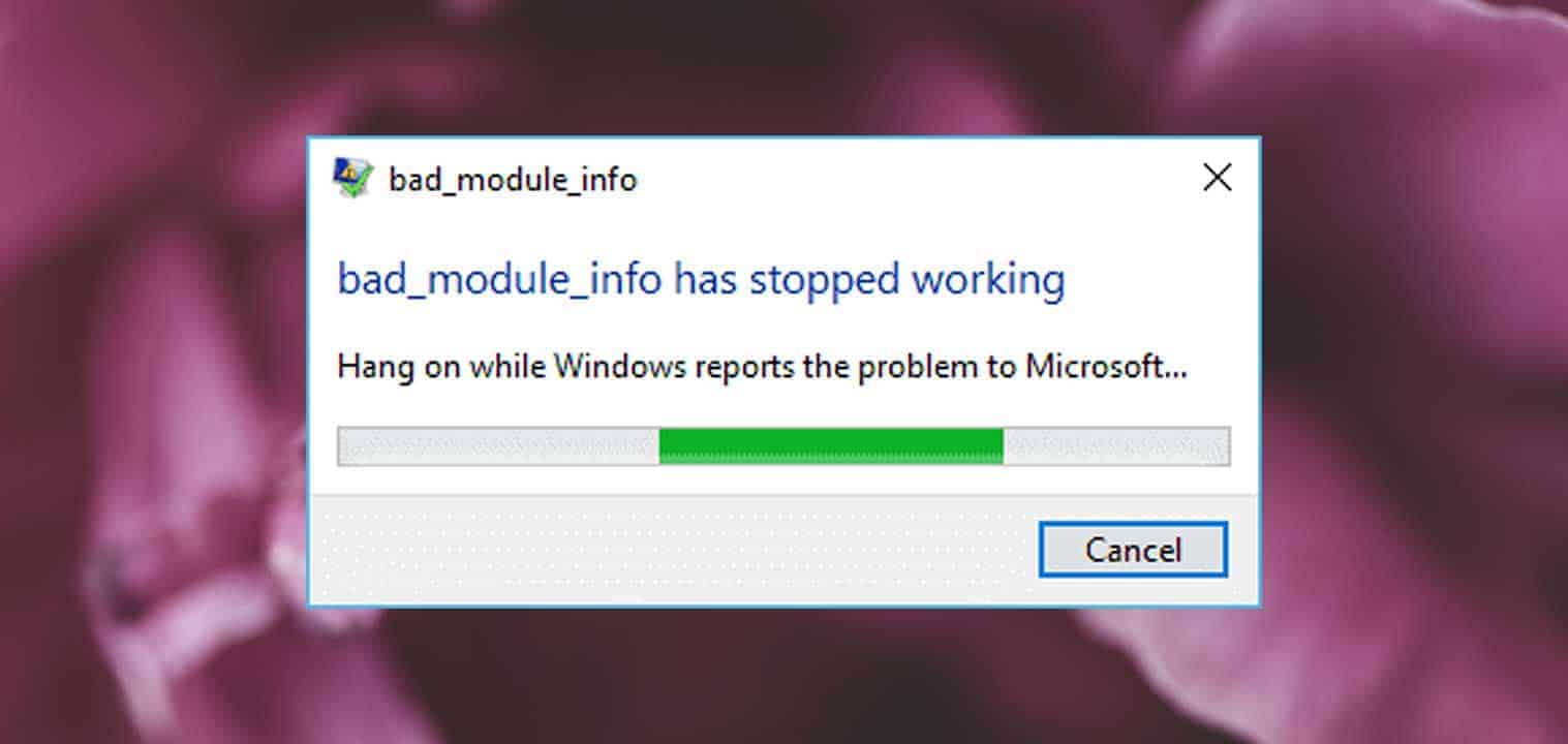 Screenshot Bad_Module_Info has stopped working.