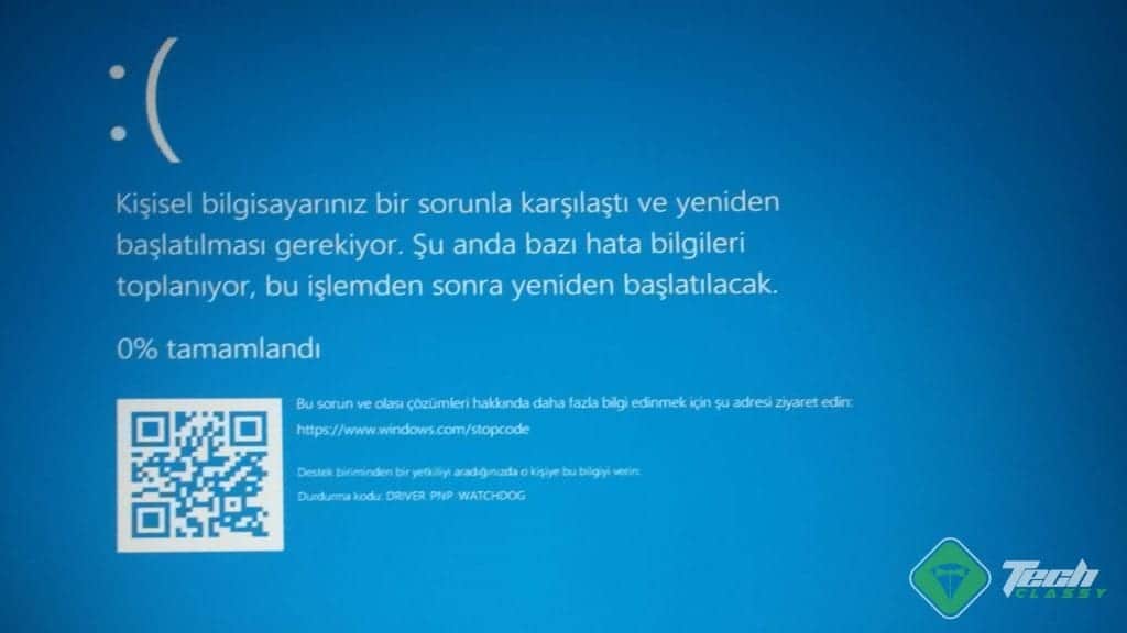 Screenshot Driver PNP Watchdog Error - Blue Screen