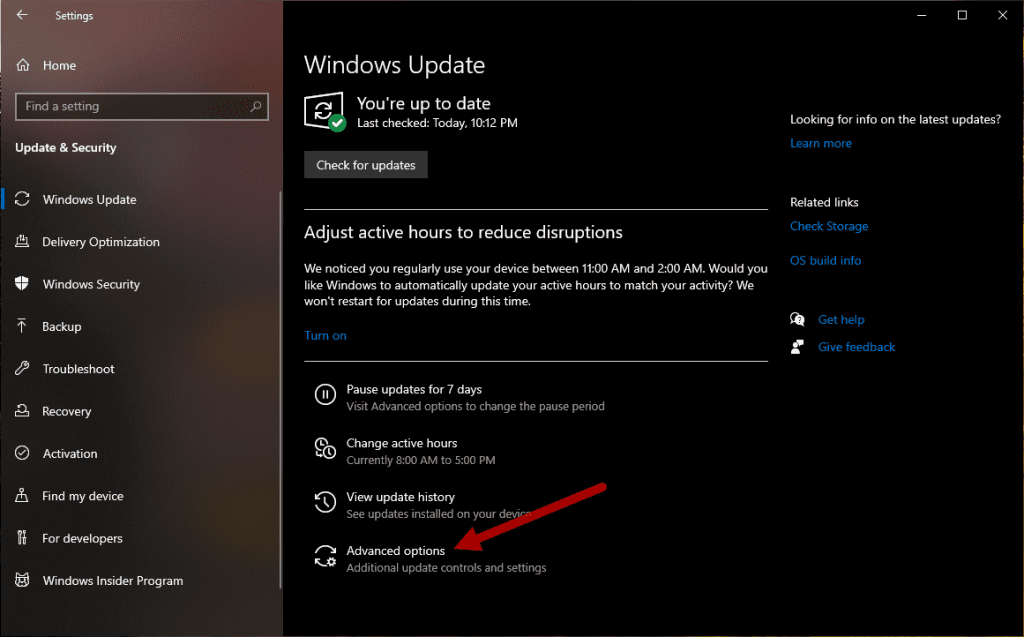 Clicking Advanced Options Windows Update
