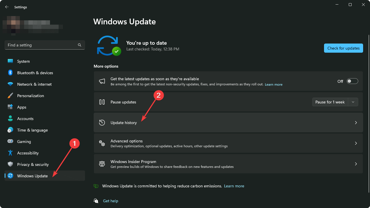 going update history windows 11 settings