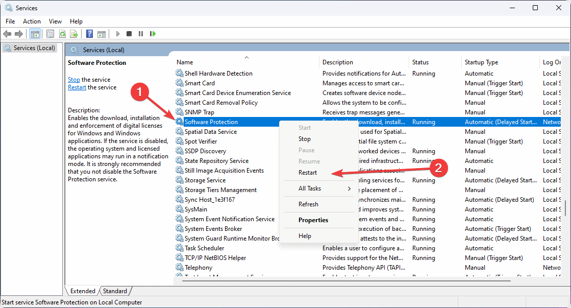restart software protection service