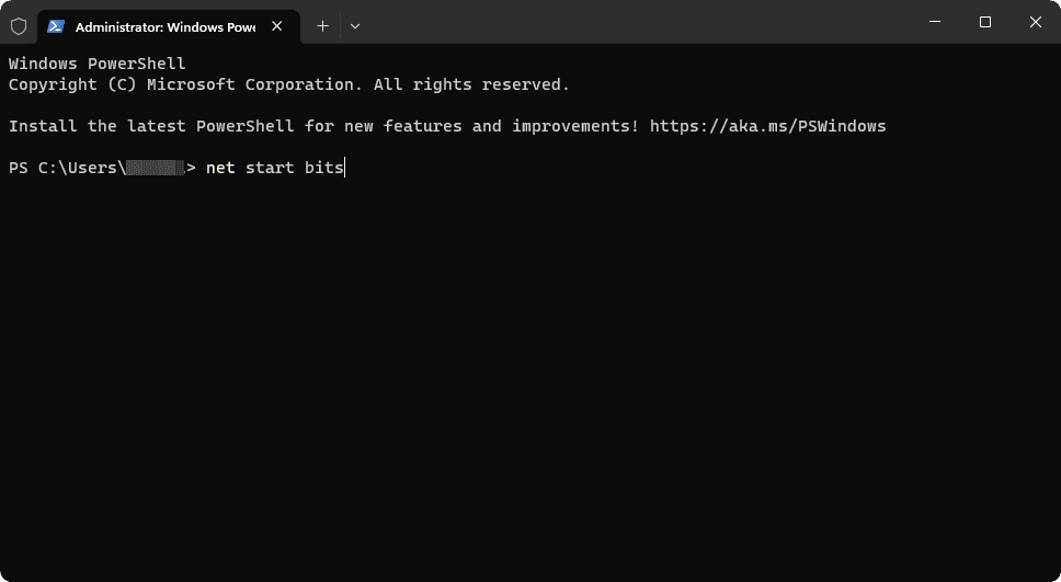net start bits terminal